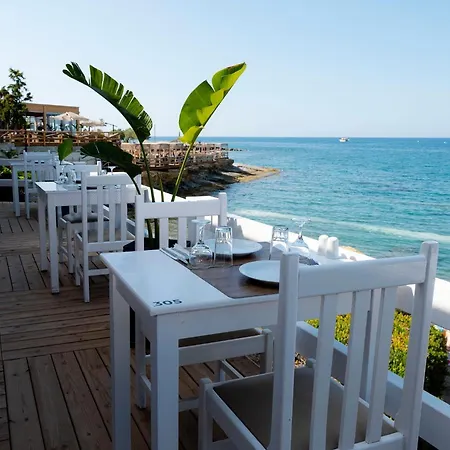 Otel Elmi &